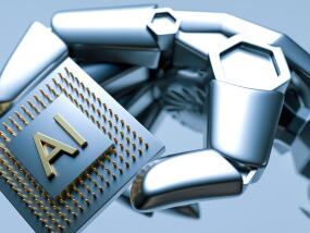 成都猫咪交流群